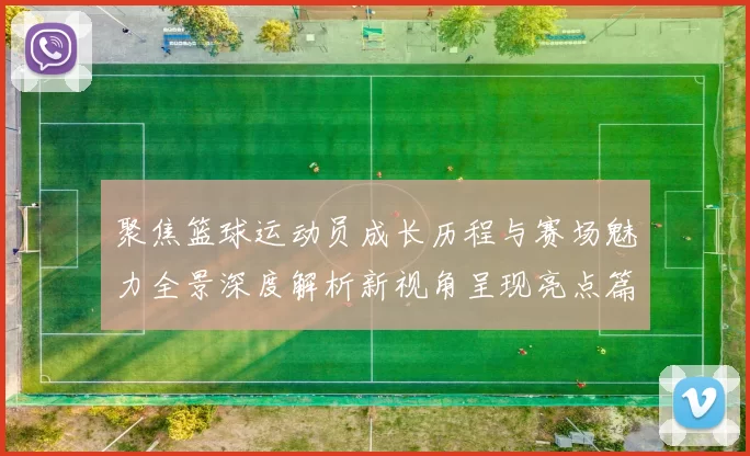 聚焦篮球运动员成长历程与赛场魅力全景深度解析新视角呈现亮点篇