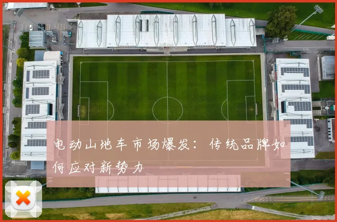电动山地车市场爆发：传统品牌如何应对新势力