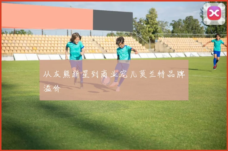 从灰熊新星到商业宠儿莫兰特品牌溢价
