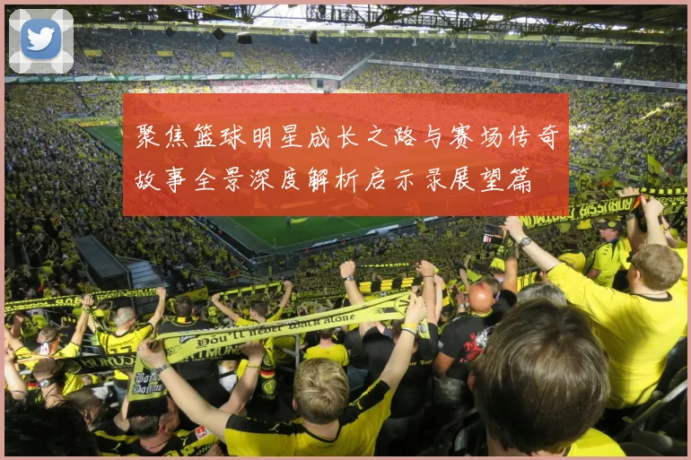 聚焦篮球明星成长之路与赛场传奇故事全景深度解析启示录展望篇