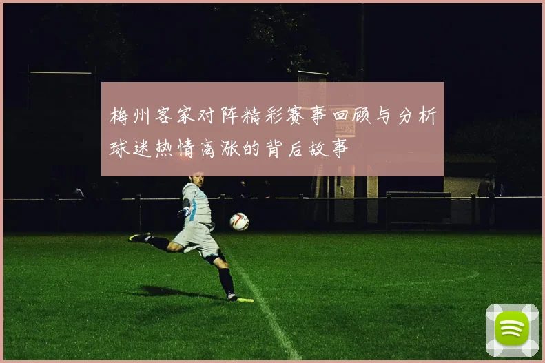 梅州客家对阵精彩赛事回顾与分析球迷热情高涨的背后故事