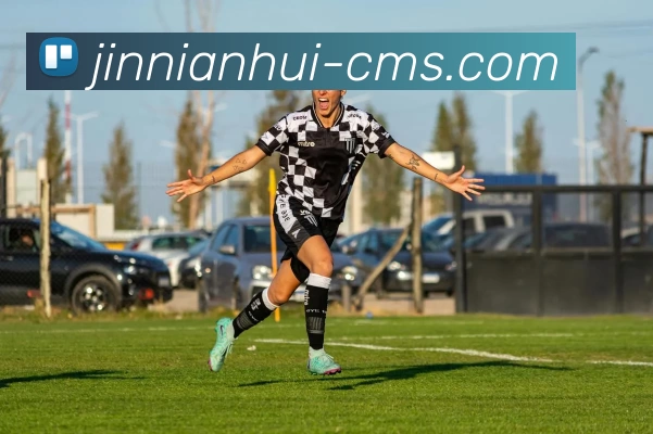 今年会平台生态图